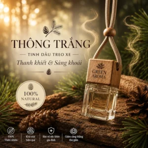 Tinh Dầu Treo Xe Ô Tô Hương Thông Lá Kim Green Aroma – Không Khí Rừng Xanh Trong Cabin