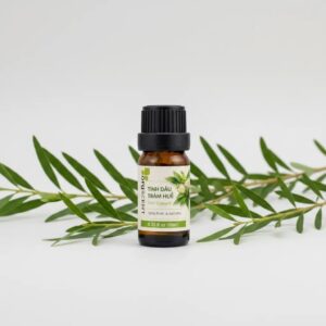 Tinh dầu tràm huế 10ml