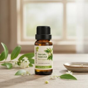 Tinh dầu tràm huế 20ml