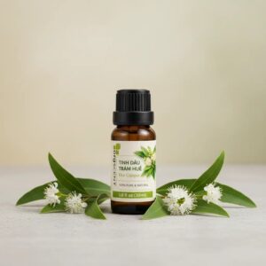 Tinh dầu tràm huế 30ml
