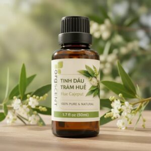 Tinh dầu tràm huế 50ml