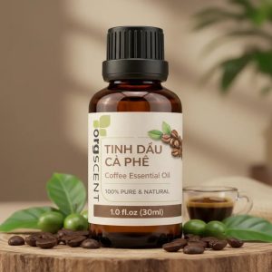 Hình ảnh **Tinh dầu cà phê 30ml** nổi bật với mùi cà phê rang đậm, sâu và quyến rũ, kết hợp sắc thái hạt rang và caramel nhẹ. Lựa chọn phù hợp cho những ai yêu thích hương cà phê rõ nét trong không gian sống.