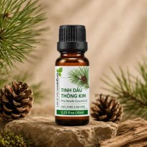 Hình ảnh sản phẩm tinh dầu thông lá kim dung tích 10ml tiết kiệm dùng cho người mới tại Green Aroma