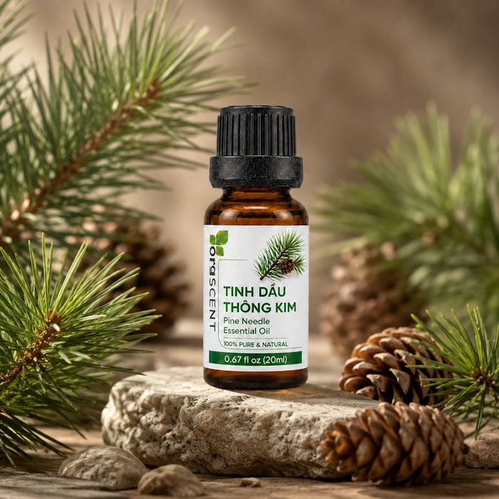 Hình ảnh sản phẩm tinh dầu thông lá kim dung tích 20ml Green Aroma chi phí hợp lý, dễ dàng mang theo