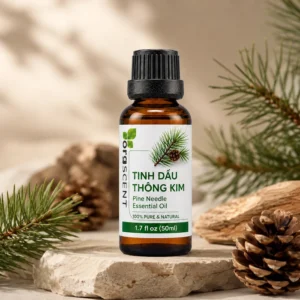 Hình ảnh sản phẩm tinh dầu thông lá kim dung tích 50ml Green Aroma kích thước phù hợp làm quà tặng, nhìn lịch sự và sang trọng